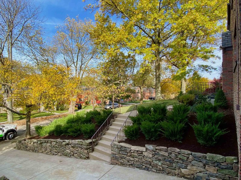 Stone retaining wall with specimen evergreen plantings and fresh mulched beds in autumn