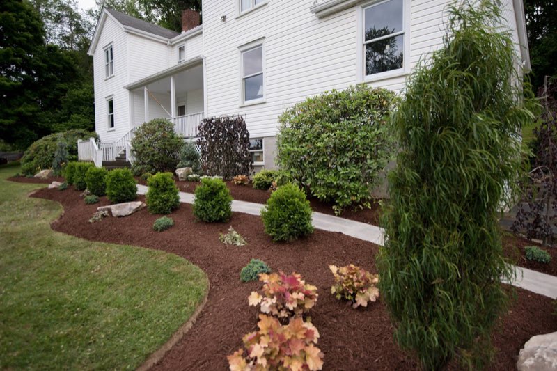 Full foundation planting bed refresh around a white frame home, fresh mulch and layered shrubs
