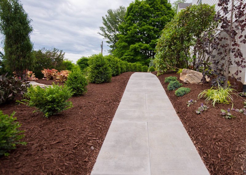 Stone walkway flanked by mulched planting beds with layered shrubs and ornamental trees