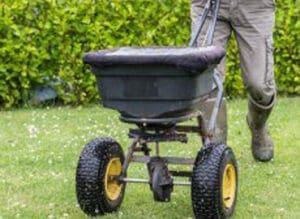 guy fertilizing Lawn 