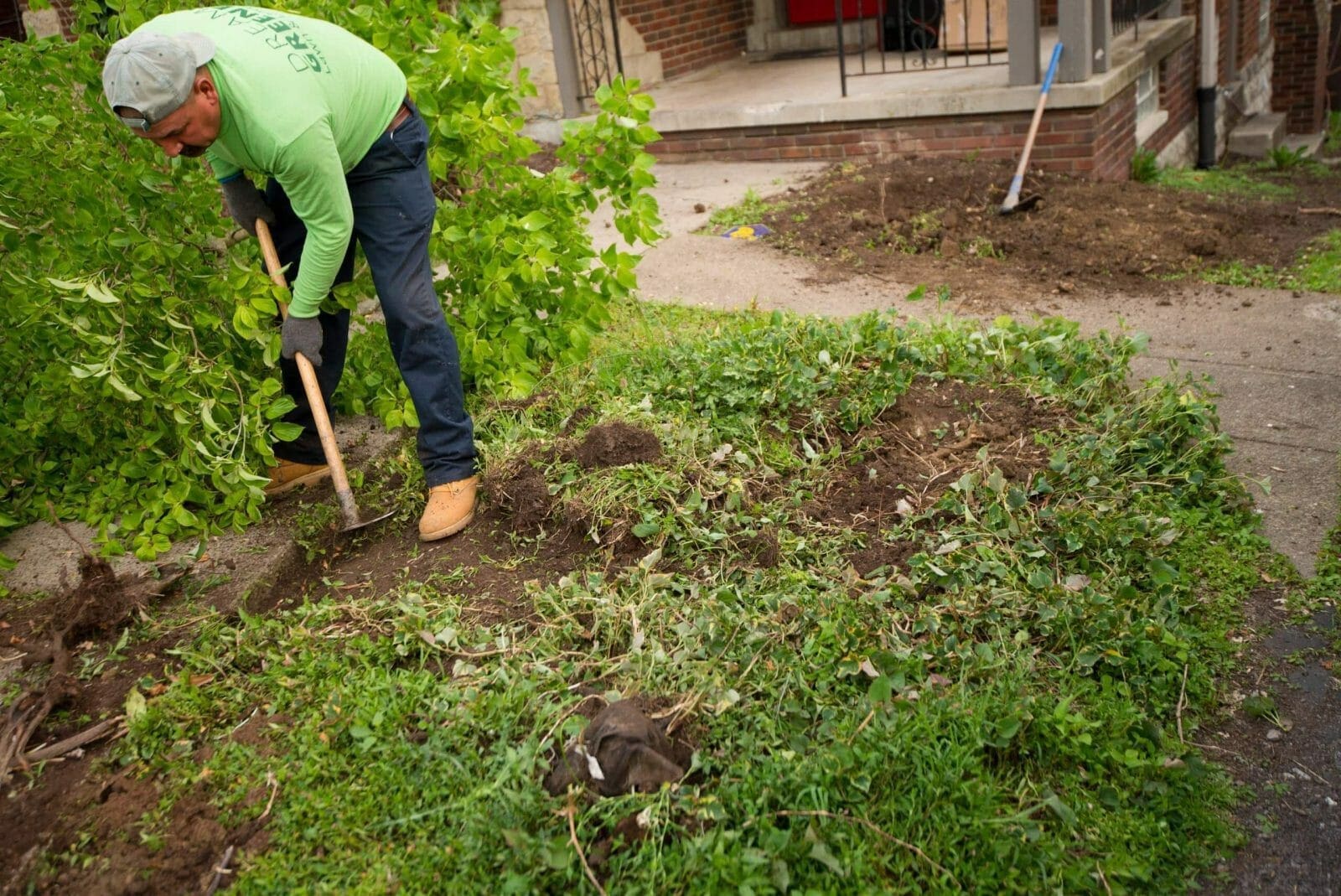 Dream-Greener-Lawn clean up
