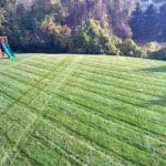 Dream-Greener-Lawn