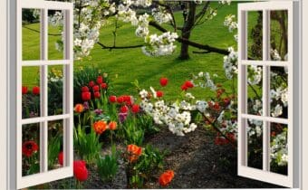 Window_to_Spring_Soil