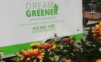 Landscape company (Dream Greener sign)