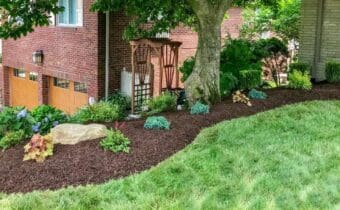 new bed edging and fresh mulch