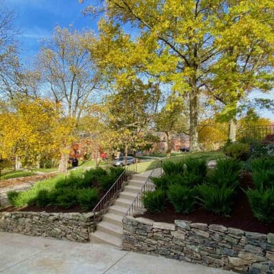 Professional Landscaping Services Mt. Lebanon, PA