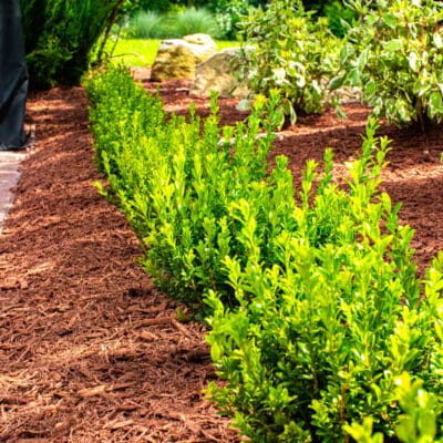Upper St Clair, PA Landscaping Services