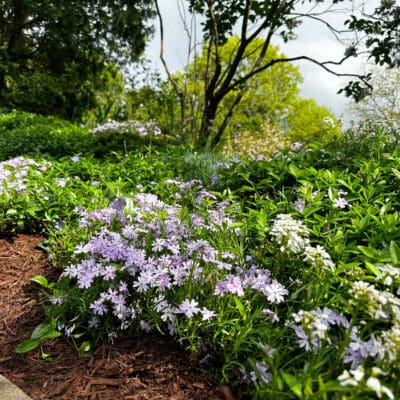 Landscaping Services Mt. Lebanon, PA