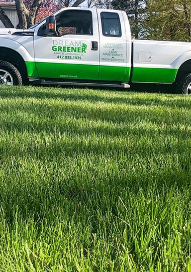 Mt. Lebanon Lawn Care Services by Dream Greener