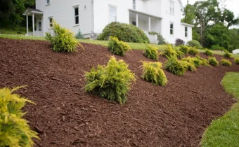 Mulch installation in Pittsburgh, PA