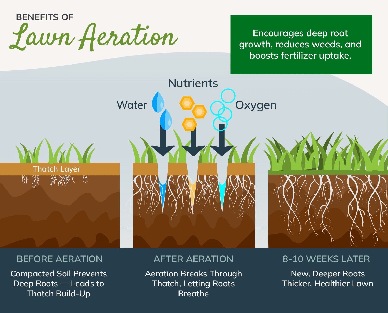 Lawn aeration service in Pittsburgh and Mt. Lebanon, PA