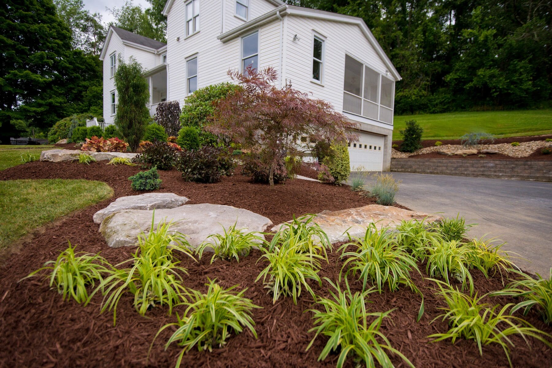 A newly planted landscape bed with boulders, ornamental grasses, and a Japanese maple in fresh mulch at a South Hills home