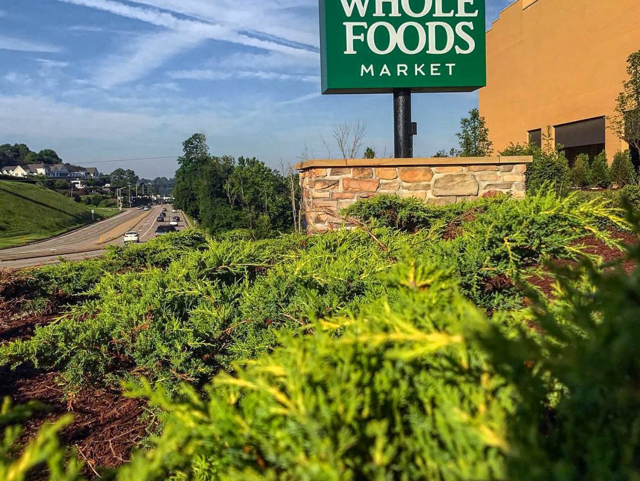Commercial landscaping beneath the Whole Foods Market sign
