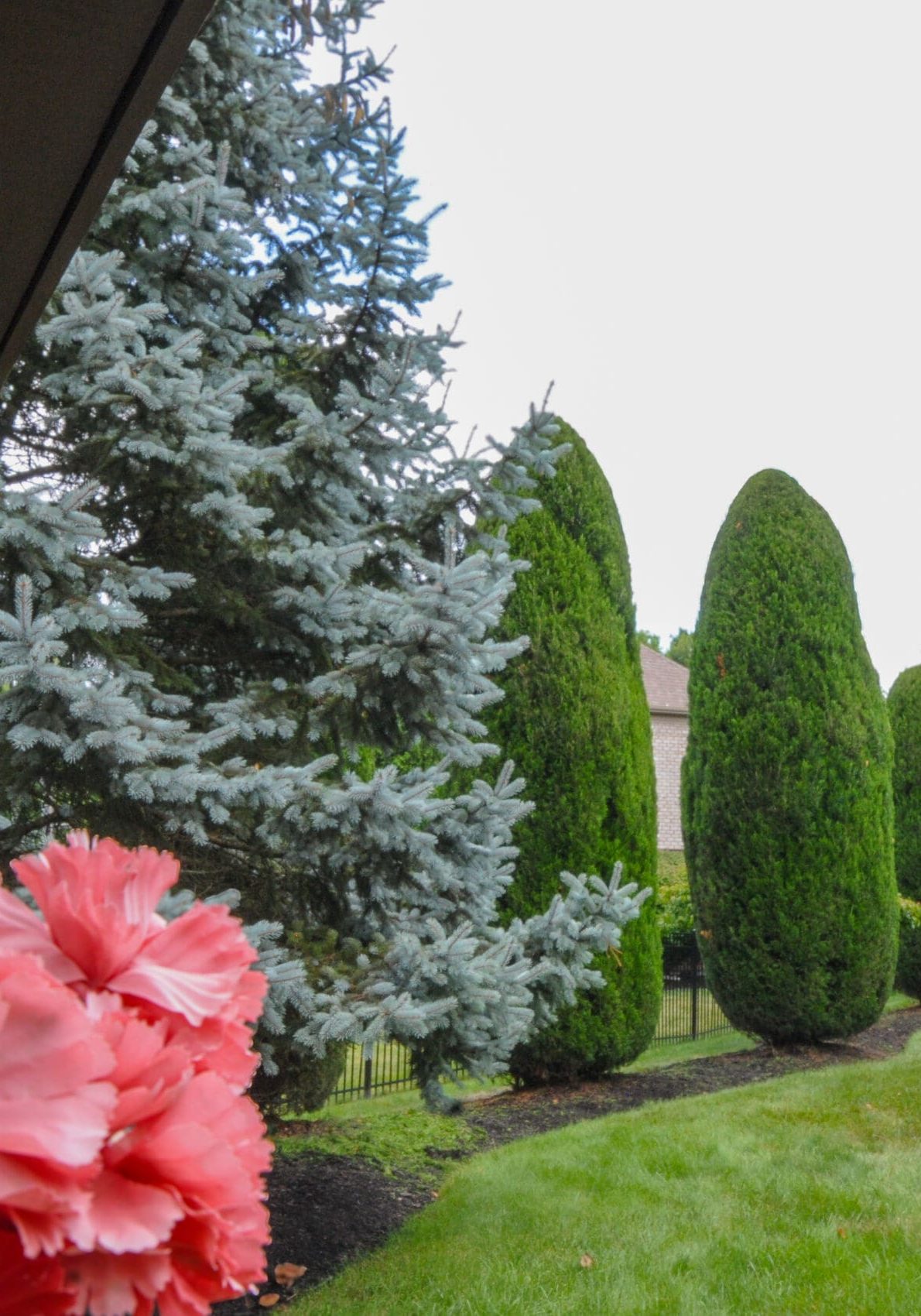 Peters Township Landscaping Services by Dream Greener